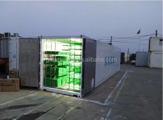 1tons fooder per day container type hydroponic system/fodder grass machine