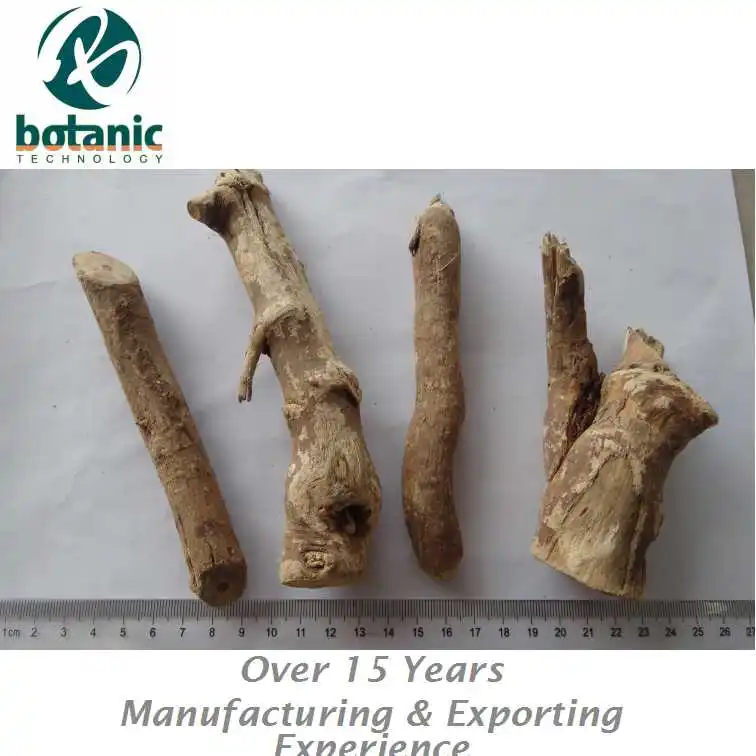 
Light yellow Acanthopanax Root for health tea Eleutherococcus root 