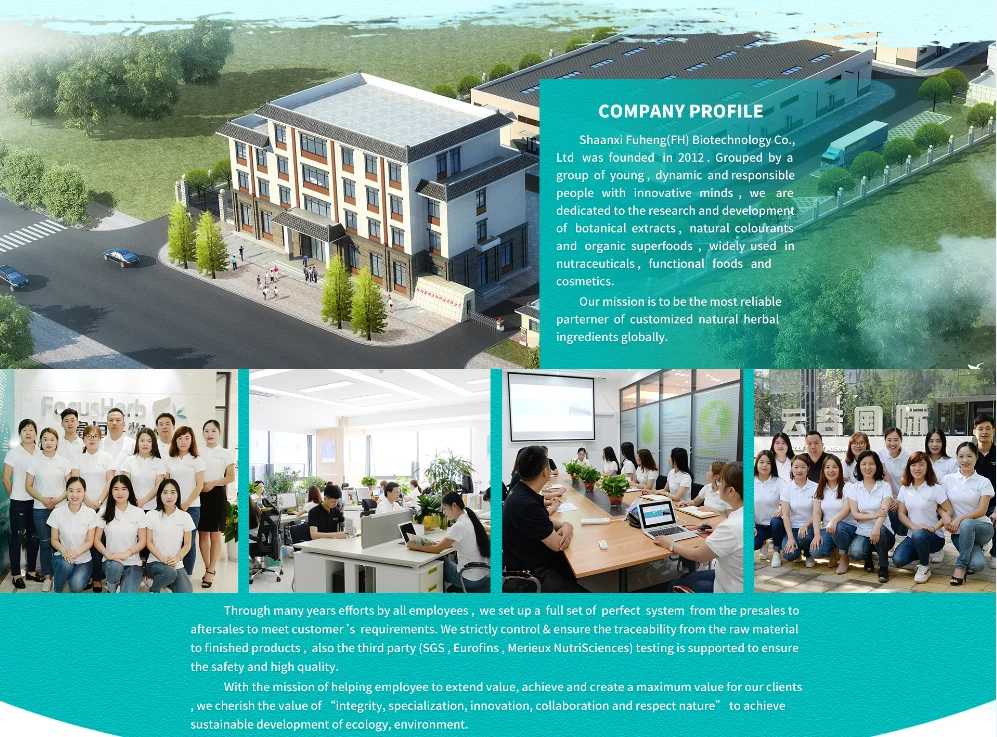 
100% Natural Pumpkin Powder 