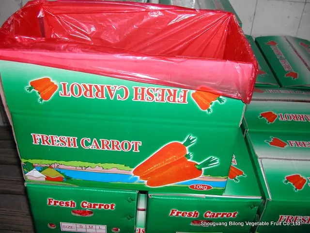 
New crop fresh chinese carrots origin Shandong/Hebei/Mogolia/Xiamen 