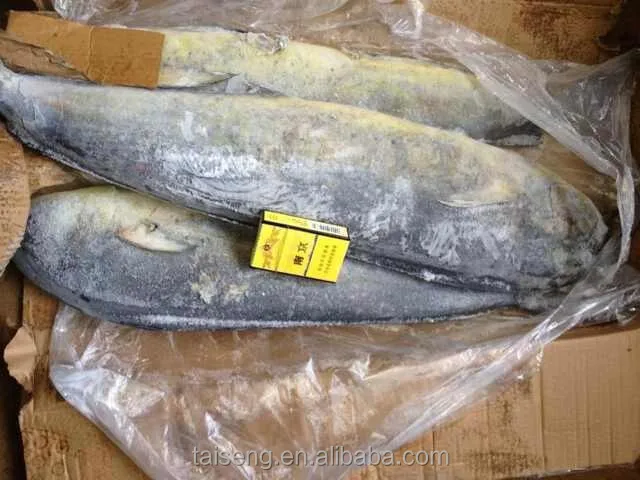 Whole Round Frozen Mahi Mahi Fish Sea Frozen