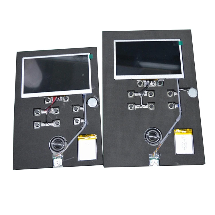 LCD module.jpg