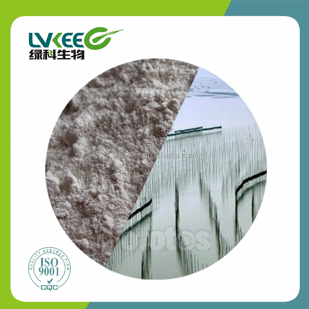 
Lvkee High quality Bacillus Subtilis 100 Billion cfu/g Probiotics Powder 