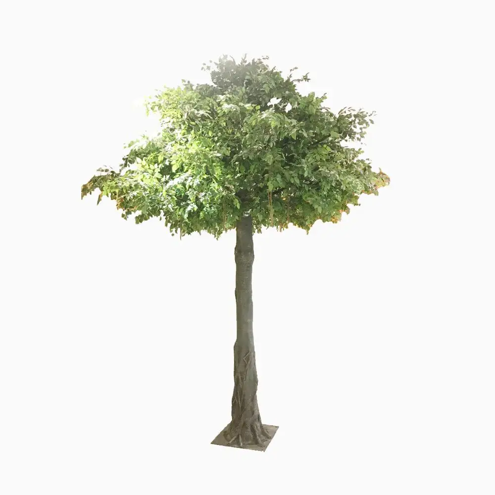 slightly bent shape banyan tree Artificial ficus microcarpa bonsai plant tree