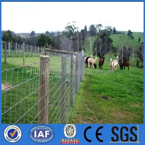 horse/sheep/goat/caw barns for ranch/farm/field/cattle fence(China Factory)