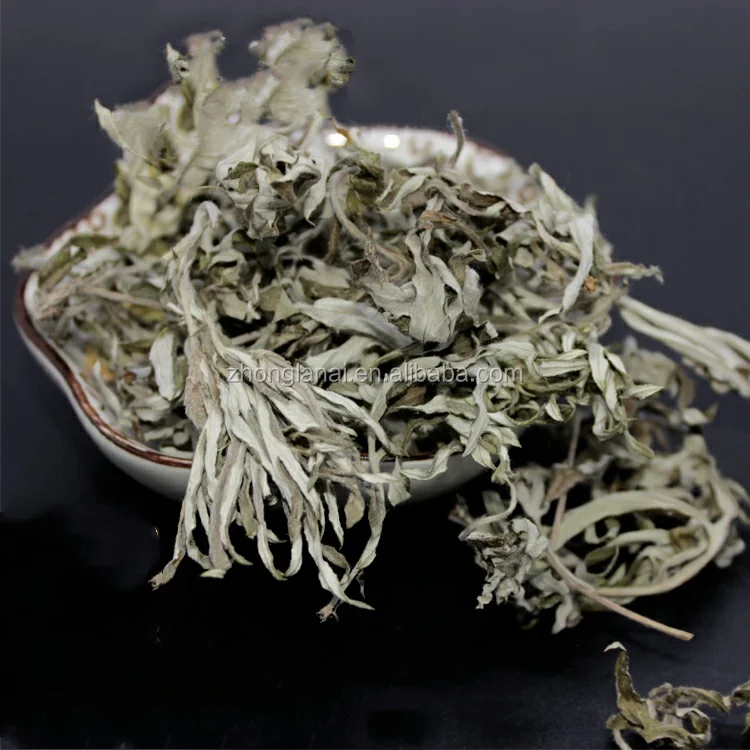 
chinese dried mugwort leaves herb moxa leaves dried for feet soaking and foot treatment Spa 