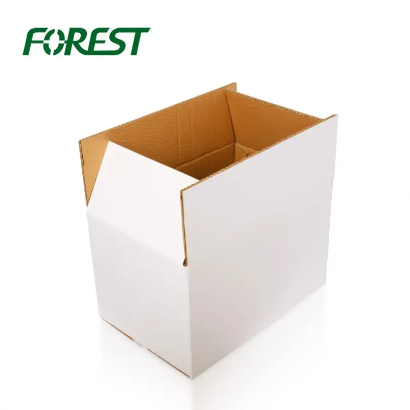 F019 Forest packing china top factory wholesale market online cardboard 24 bottle beer box