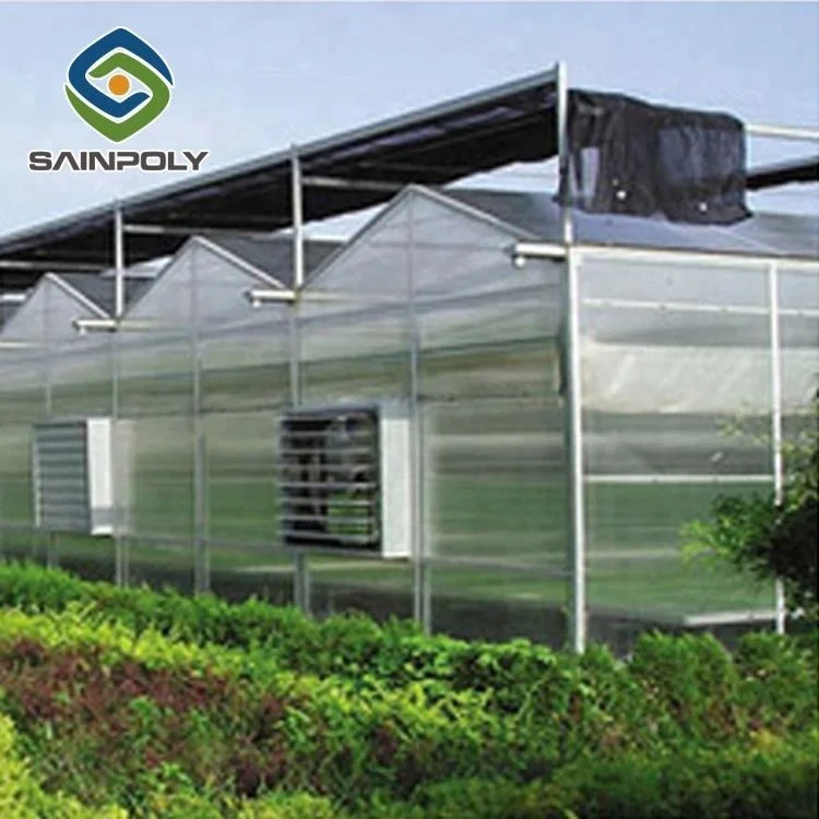 Large multi-span agricultural vertical polycarbonate greenhouse