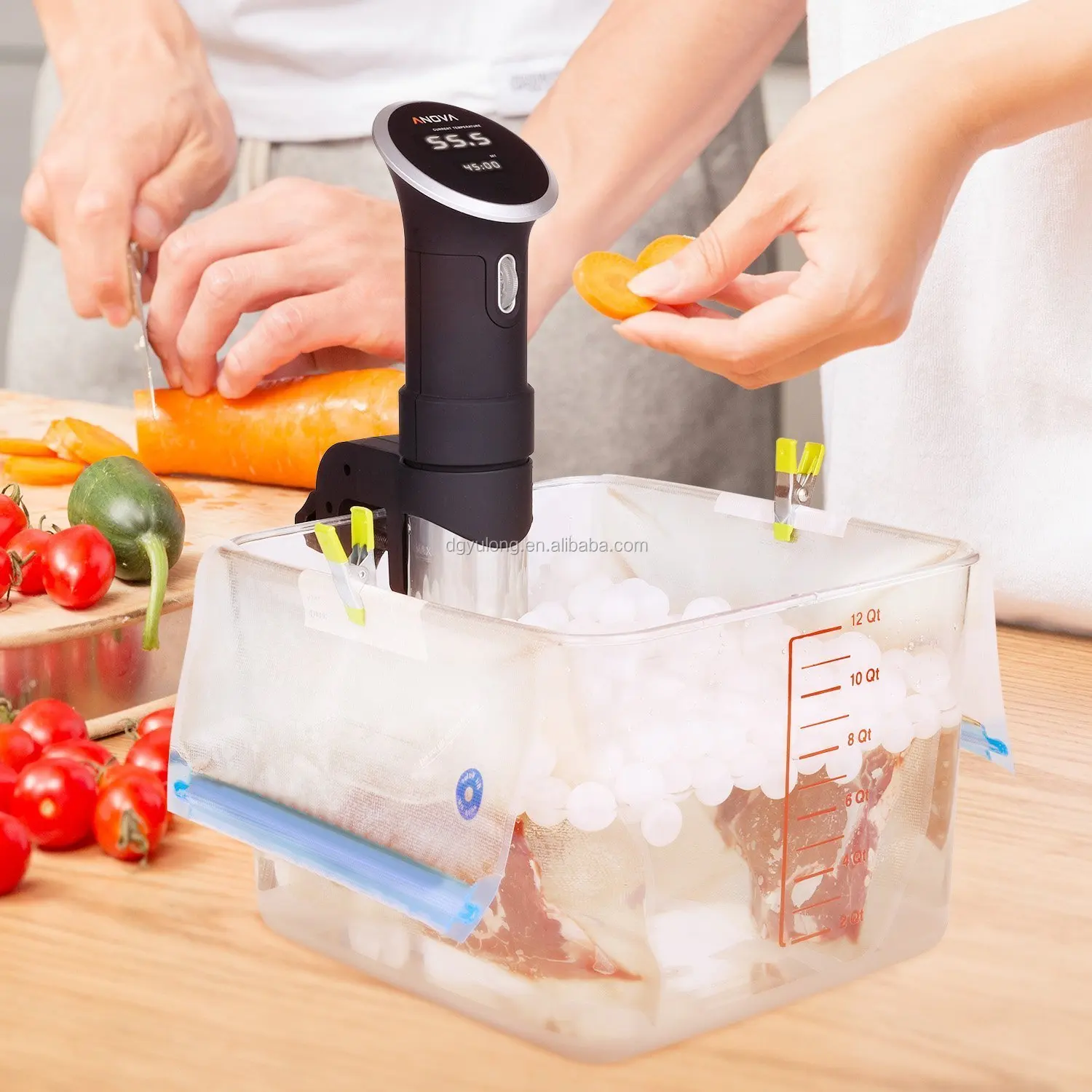 Anova Sous Vide Bags Kit For Slow Cooker