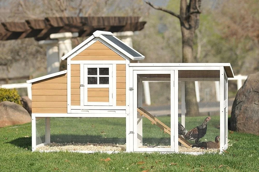 Wholesale hot indoor chicken cage with run cage