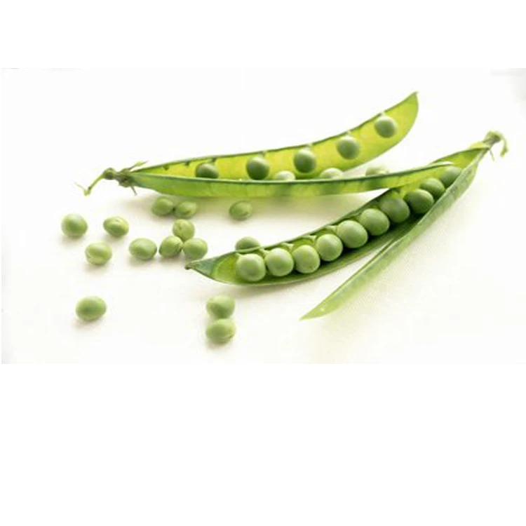 
Food/USP Grade NON-GMO Organic Pea Protein powder 