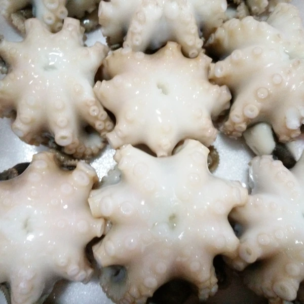 
HIGH QUALITY FROZEN BABY OCTOPUS 