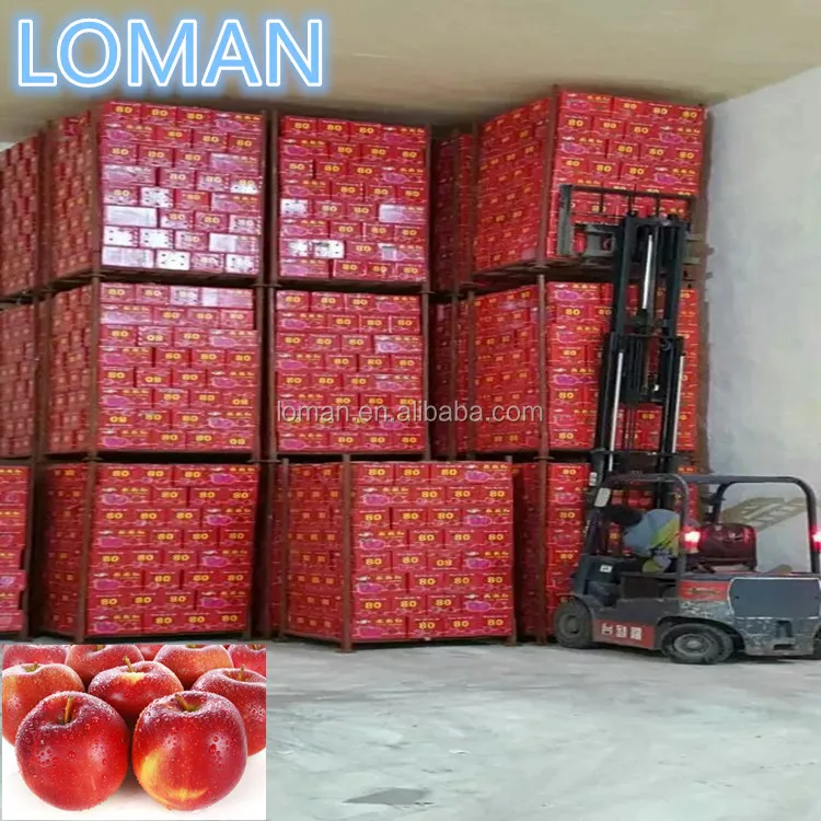 Холодное хранение яблок в Узбекистане