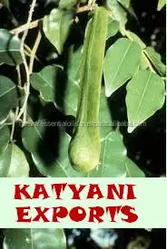 Wholesale Peru Balsam Essential Oil 100% Pure, Organic Manufacture Impeccable Quality for Aromatherapy Bulk Price By Exporters