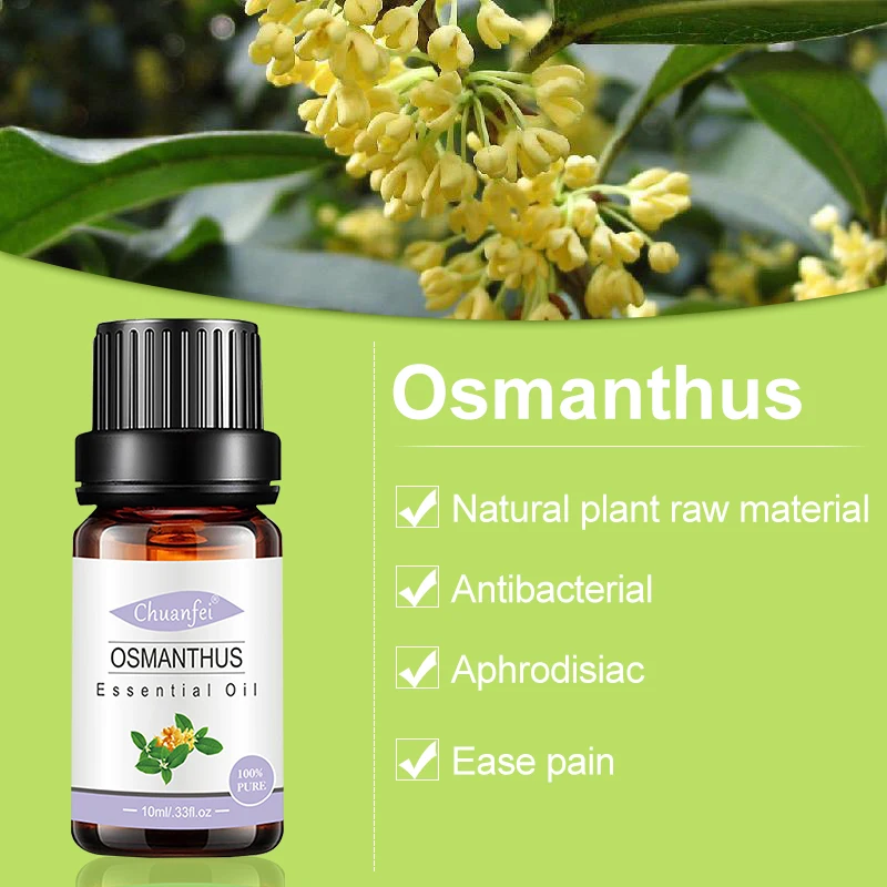 Baolin 100% pure natural Top grade Osmanthus essential oil undiluate organic oil bulk price