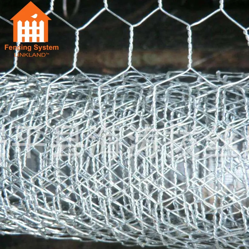 China Exporter Best Quality Hexagonal Wire Netting Chicken Nets Fishing Nets
