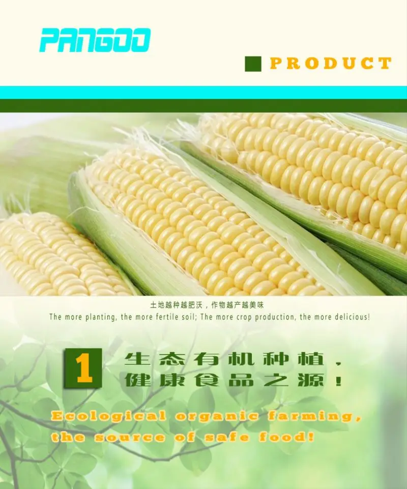 Био-удобрение Bacillus mucilaginosus для сельского хозяйства бактериальное удобрение помидоры бобы