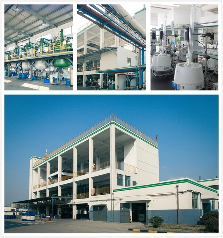 paste-pic-dp_uuid_n3vcf