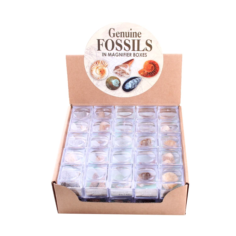 Рекламная Подарочная коробка Yase, ракушки, морские кости, морская жизнь, кости, фабрика, морские животные, кости, Подарочная коробка, оптовая продажа, инструменты для детей