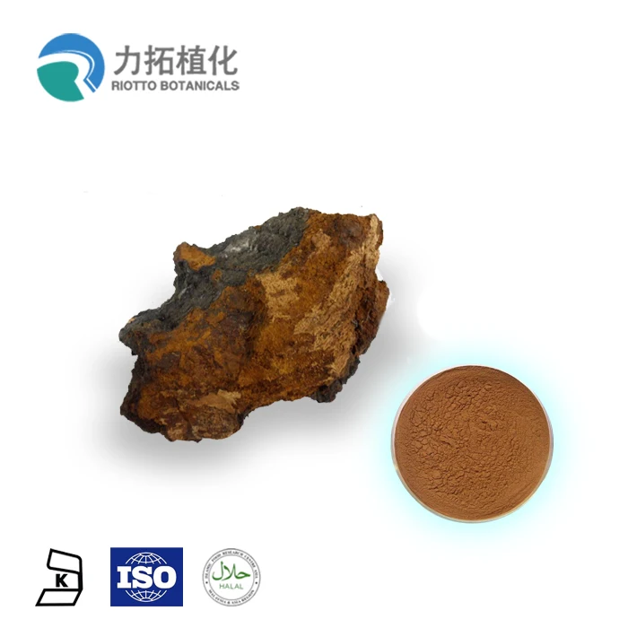 
Polysaccharides 10%-50% Chaga Mushroom Extract Powder 
