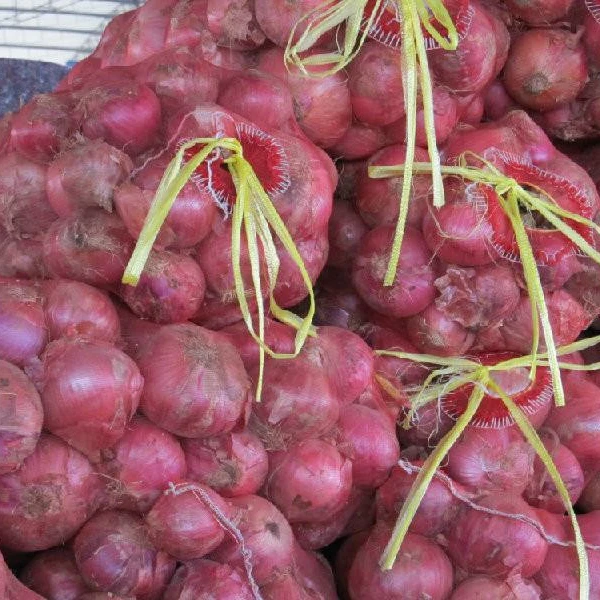 supply fresh red onion packing in 5kg/10kg/20kg mesh bag