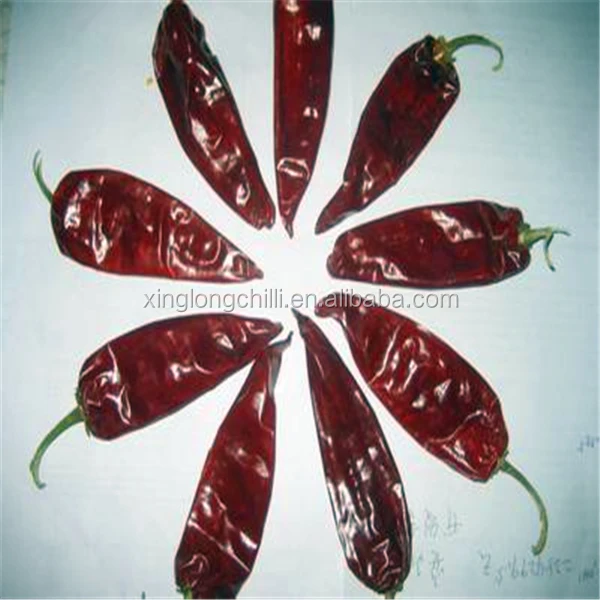 Export to Hungarian the Spicy paprika Jinta chili pepper pods price