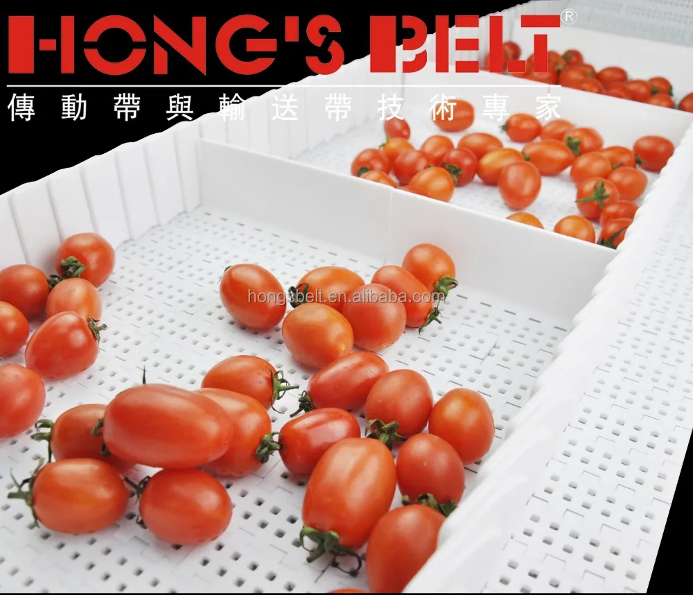 Modular Conveying Belt for Fruit Inclining Conveyor Plate Top Plastic Straight Conveyor Food and Non-food Industry HONGSBELT 15%
