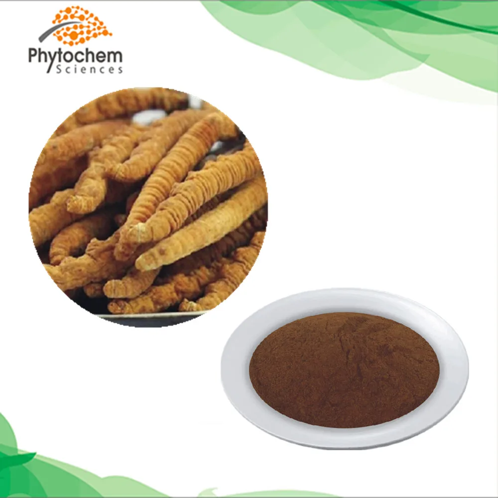 
Yarsagumba price yartsa gunbu polysaccharide powder cordycepin ergosterol adenosine cordyceps sinensis extracts 