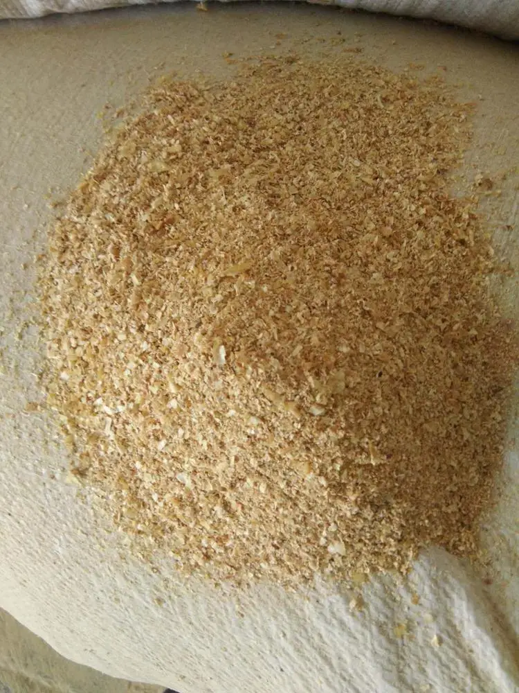30% Protein Corn Syrup Corn Germ Powder Maize Corn Germ Meal For Cow