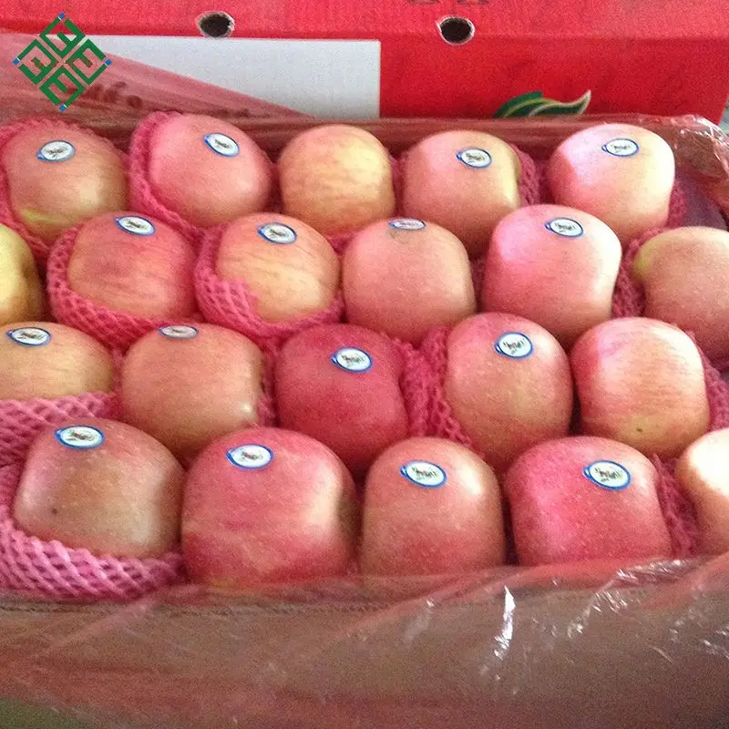 Импортеры свежих фруктов, свежие яблоки, свежие яблоки, яблоки fuji, область yantai