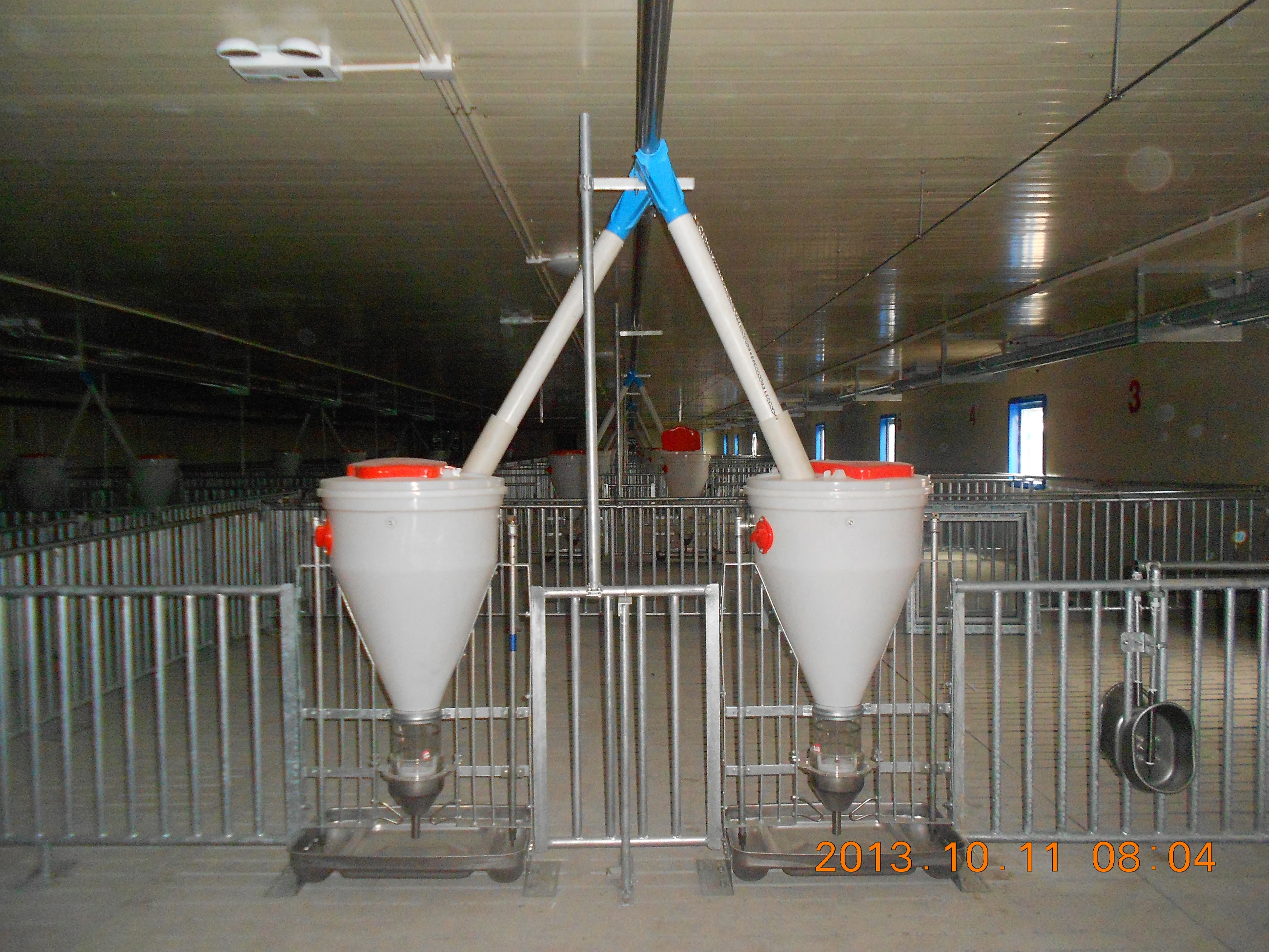 plastic automatic pigs equipment feeding trough for pigs