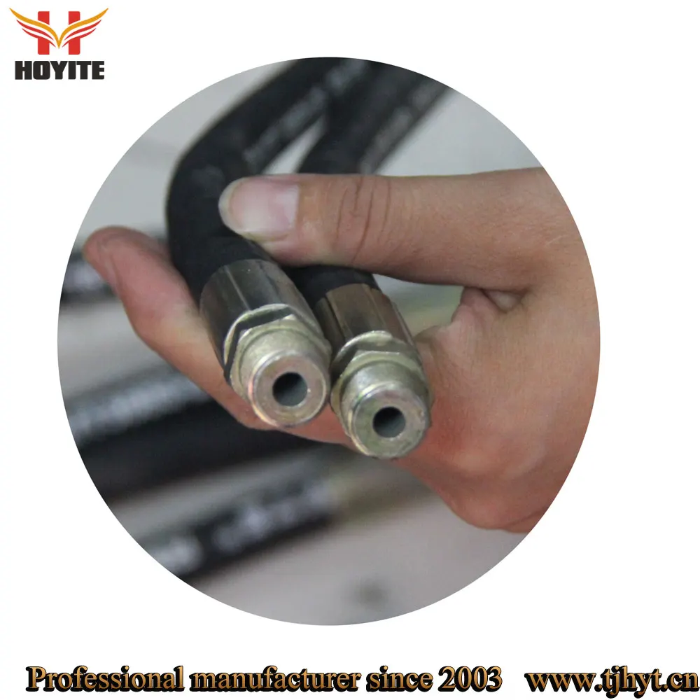 High Pressure Power Steering Brake Hydraulic Hose Assembled with Fittings