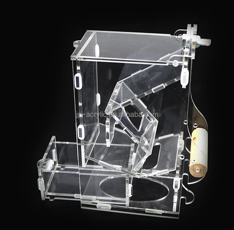 
Clear Acrylic No Mess Parrot Integrated Auto Pet Feeder with Perch 