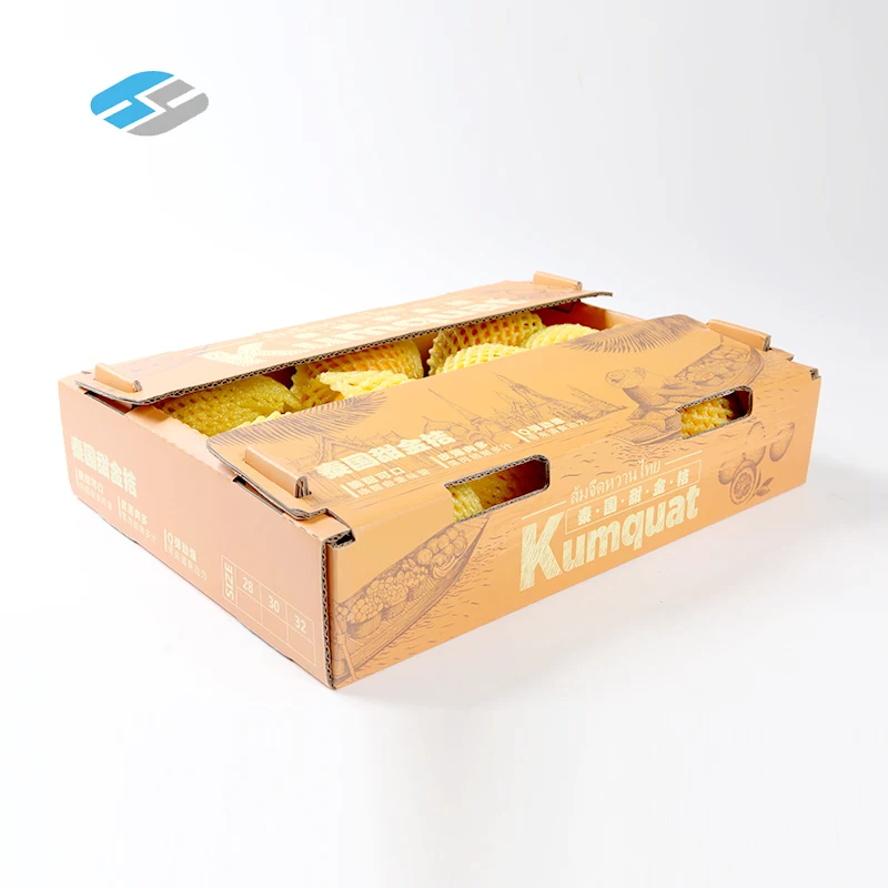 China corrugated fruit export carton recyclable fresh fruit packing box