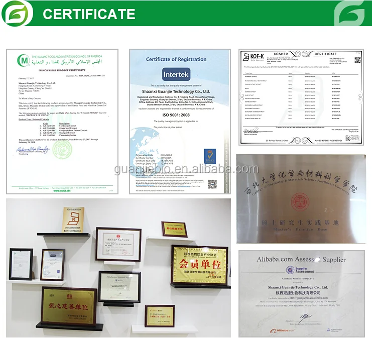 
100% Nature Product Panax Ginseng Root Extract Powder / Ginsenoside 4% 30% 80% by HPLC / UV 