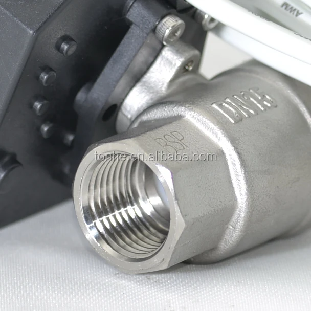 2 Way 3/4' DN15 Ss304 Spring Return AC220V Electric Actuator Ball Valve