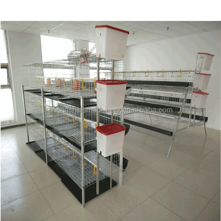 SSD Cheaper and high quality baby chicks chicken cage