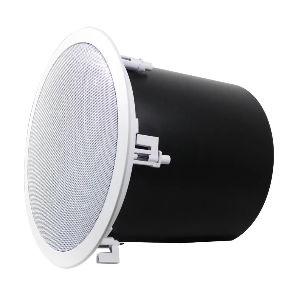 10 inch 60/120/240W at 4 ohm subwoofer ceiling speaker with heavy metal fire dome suitable for sub bass applications