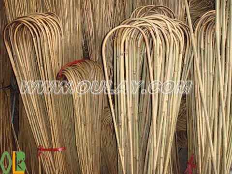 U shape bamboo canes bamboo Plant support and decoration garden plant 48cm/60cm