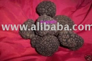  Афродизиак трюфель черные трюфели TARTUFO wild из Италии