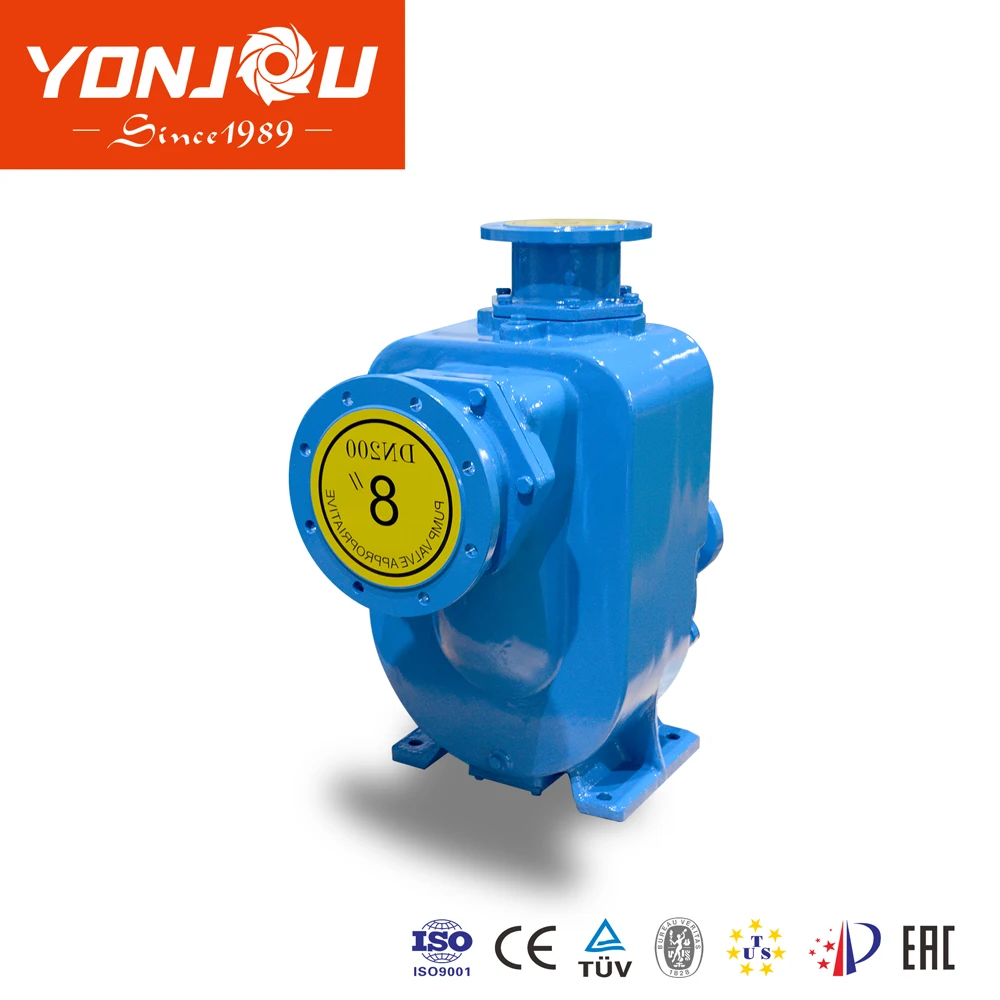 Farm Irrigating/ River Water Transfer Big Flow Multistage Diesel Engine Pump/high Effciency Irrigation Pump OEM Standard Sewage