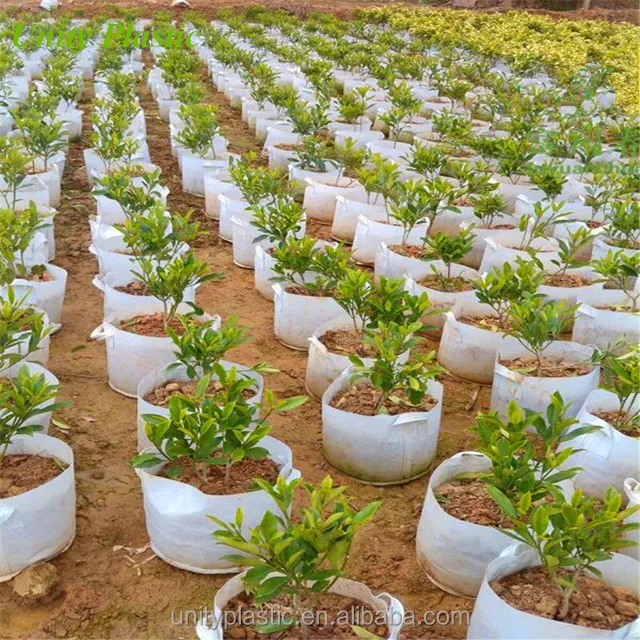 Felt Vegetable Grow Bag,3 / 5 / 10 / 15 / 20 / 30 Gallon fabric grow bags