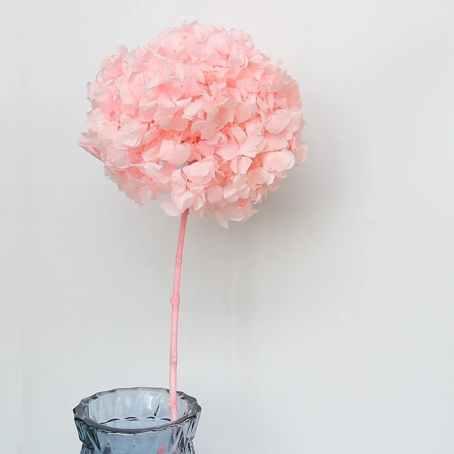 China factory supply Wholesale white and pink Hydrangea Flowers Real Touch Hydrangea hydrangea flower
