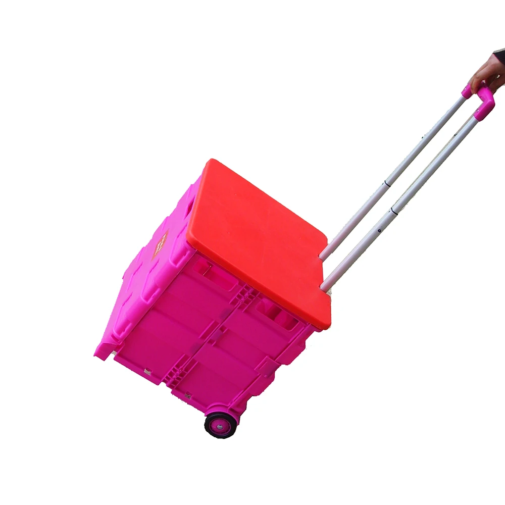 shopping trolley (8)