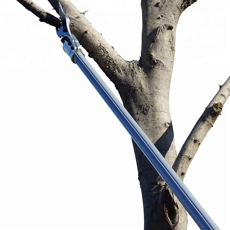 Профессиональные портативные электрические секаторы с длинной ручкой, высокие деревья, литий-ионные аккумуляторные лопасти, секаторы для кустарников