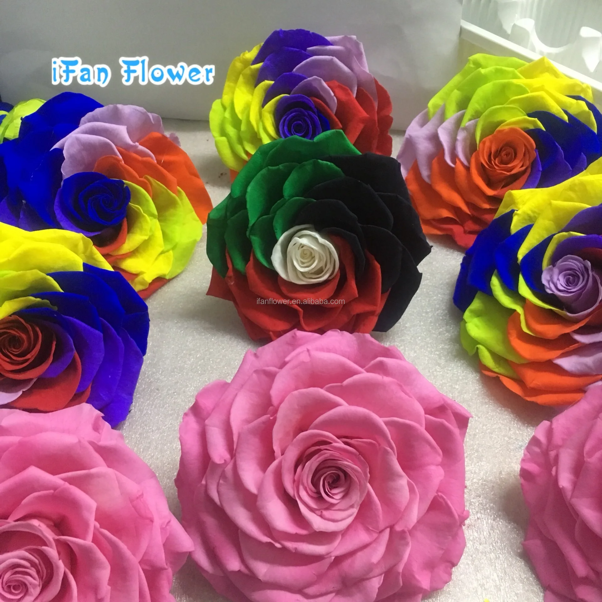 Высококачественные свежие консервированные Цветочные гвоздики для Дня матери