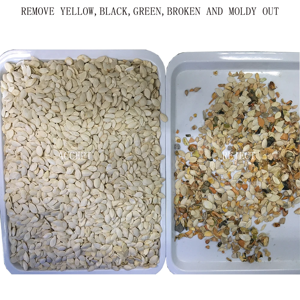 Sunflower Seed Cleaning Equipment Melon Seed Sorting Machine in Uzbekistan