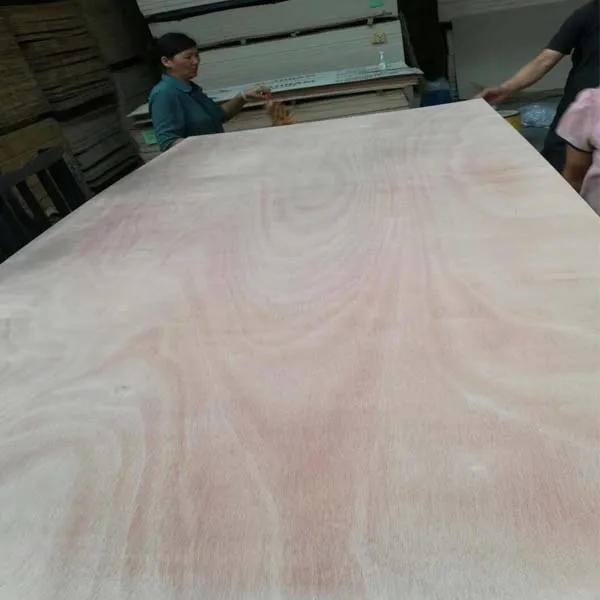 4x8 White plywood rotary cut okoume veneers of A grade plywood