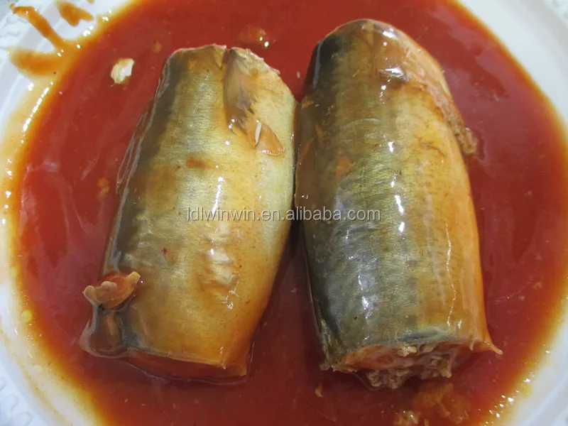 
425G CANNED SARDINE IN TOMATO SAUCE IN OVAL CAN FOR SOUTH AMERICA MARKET 