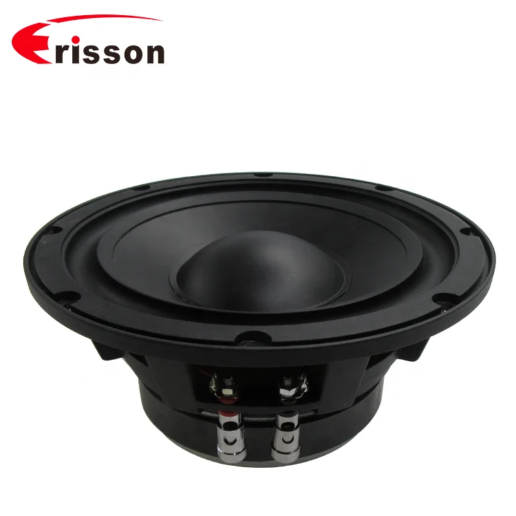 OEM производитель 500 Вт автомобильный аудио сабвуфер 8 дюймов высокая производительность НЧ-динамик